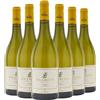 Castello della Sala Umbria IGT Chardonnay Bramito della Sala 2024 Box da 6 bottiglie