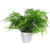 Leaf Leaf-7529 - Felce Artificiale in Vaso, 30 cm (Athyrium Filix-Femina)