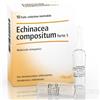 GUNA ECHINACEA COMPOSITUM FORTE S HEEL OMEOPATICO INIETTABILE 10F