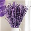 Celblisora 56 g di fiori di lavanda secchi - Rami di lavanda conservati, bouquet di fiori viola, decorazione per la casa, lavori fai da te, pianta secca