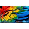 Philips TV 50" 4K Ultra HD Smart Display Arrotolabile Antracite