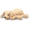 Steiff - 242595 Soft Cuddly Friends Floppy Lumpi Dog