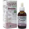HERING Vaccinium Vitis Idaea Integratore Alimentare Da 30ml