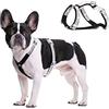 BT Bear Pettorina per cani, imbracatura per cani di piccola taglia con strass e fibbia di sicurezza, regolabile, per gatti e cani di piccola taglia (nero, XS)