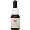 Australian Bush Flowers Australian Bush Flower Essences Tall Mulla Mulla, 15ml
