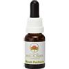 Australian Bush Flowers Australian Bush Flower Essences Bush Fuchsia Gocce, 15ml