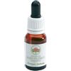 Australian Bush Flowers Australian Bush Flower Essences - Dagger Hakea Gocce, 15ml