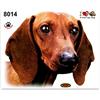 4R Quattroerre.it Quattroerre 8014 Adesivo Cane Bassotto a Bordo Tabella Dimensioni 14 x 16 cm