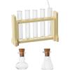 Hobbspring Mini provetta in vetro per casa delle bambole Set scientifico per casa delle bambole Tubo di vetro in miniatura Piccolo tubo di prova in legno Rack Micro paesaggio esperimento ornamento per