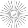 RAKUTE Frese Diamantate Set 30 Pezzi, Set di Punte Diamantate con Gambo da 3 mm, Accessori per Utensili Rotanti per Dremel e Lucidatura per Incisione Fai-da-te, con Scatola di Immagazzinaggio
