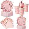Nkaiso 50Pcs Rosa e Rosa Oro Stoviglie per Feste di Compleanno-10 Ospiti | 10 x 23cm & 10 x 18cm Piatti Carta Usa e Getta Eleganti, 10 Bicchieri, 20 Tovaglioli - per Festività Feste Decorazioni