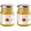Agrisicilia Miele di Millefiori di Sicilia e Calabria Da Agricoltura Biologica - 300 g (Confezione da 2)