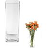 ASSRECT Vaso Vetro Trasparente 25cm Vaso di Vetro Quadrato Grande Vaso Fiori Vetro Alto Centrotavola Moderno Vaso Fiori in Stile Minimalista per la Casa, Soggiorno, Tavolo, Ufficio, 25 x 8 cm
