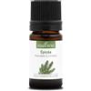 La Compagnie des Sens ABETE ROSSO (Picea abies) BIO - 5mL - Olio Essenziale di Qualità Premium - 100% Puro, Naturale, garantito ChromaCert® - Chemotipizzato & Integrale