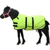 Gallopoff Coperta 300D Pony/Shetty per cavalli, 150 g/m², per pony, leggera, calda, impermeabile, traspirante e antistrappo, per pony puledri, mini cavalli nani