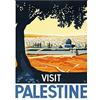 Wee Blue Coo Travel Palestine Mosque City Holy Land Tree Art Print Poster Wall Decor 12X16 Inch Viaggio Palestina Città Albero Manifesto Parete