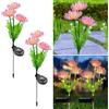 YZYOE 2 pacchetti di luci decorative del fiore solare a LED, luci di paesaggio del giardino a 2 modalità, Wireless impermeabile dal crepuscolo all'alba, fiore regalo lampada per le donne.