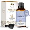 AVD ORGANICS Olio essenziale di rosmarino Olio per aromaterapia di grado terapeutico puro e naturale al 100% per rilassamento, pelle e capelli - 1 fl. Oncia (30 ml (confezione da 1))(Rosmarino)