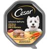Cesar Selezione Dell'Orto Patè per Cane Adult Mini da 150 gr Gusto Pollo Carote ed Erbe di Provenza