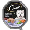 Cesar Selezione Dell'Orto Patè per Cane Adult Mini da 150 gr Gusto Selvaggina, Pollo e Verdure