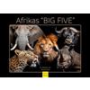 Edition Seidel Calendario Africa Big Five 2026, formato DIN A4, calendario da parete con animali, Africa, animale selvatico, predatore, bufalo, elefante, leone, grande gatto, tigre ghepardo melanie