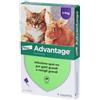 ELANCO ITALIA SpA Advantage 80 Mg Soluzione Spot-on Per Gatti Grandi E Conigli Grandi