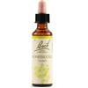 SCHWABE PHARMA ITALIA Srl Honeysuckle bach orig 20 ml