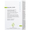 SIFARMA SpA Div. Canova SALIPIL CAPS CANOVA 30CPR NEW
