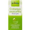 Boiron - Crataegus Oxyacantha Confezione 60 Ml (Scadenza Prodotto 28/12/2026)