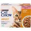 Cat Chow Gatto Busta Multipack 10x85G SALMONE E FAGIOLINI