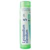 Boiron Lycopodium Clavatum 5 Ch 80 Granuli 4 g