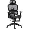 HOMCOM Sedia da ufficio, sedia da scrivania ergonomica con rivestimento in rete, regolabile, su ruote, con braccioli, poggiatesta, Nero | Aosom Italy