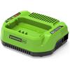 Greenworks Caricabatteria 60v g60UC