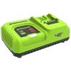 Greenworks Caricabatterie doppio voltaggio 48/24V DVR rapido 5Ah G4824C5