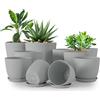 Utopia Home Confezione da 10 vasi 18/17/15/13/12 cm Fioriera con sottovaso Per cucina, balcone, piante da giardino, vasi da vivaio per interni Grigio.