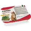 CAMON Erba per gatti con semi di orzo - Peso lordo:140 G Peso Netto: 130 G B162/A
