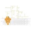 LINEA D ORO 25STR GLICEMIA