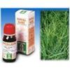Specchiasol Gramigna 37 Tintura Madre 50 ml