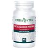 Erba Vita Fucus (Quercia Marina) Integratore Metabolismo 60 Capsule 500 mg