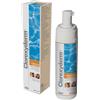 Icf Clorexyderm Soluzione Schiuma Disinfettante Veterinaria 200 Ml