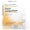 Heel Fucus Compositum 10 Fiale