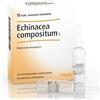 Guna Heel Echinacea Compositum S Soluzione Iniettabile 10 Fiale