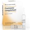 Guna Heel Coenzyme Compositum 10 Fiale