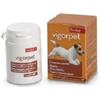 Candioli Vigorpet Integratore Vitaminico Cani 20 Compresse