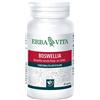 Erba Vita Boswellia Serrata Integratore Articolazioni 60 Capsule