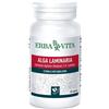 Erba Vita Alga Laminaria Integratore Metabolismo 60 Capsule 500 mg