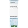 SPACCAPIETRA TINT IAL 50ML EBV