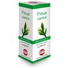 FICUS CARICA MG 100ML GTT