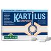Kartilus Composto Integratore 40 Compresse