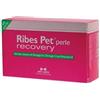 Nbn Lanes Ribes Pet Recovery Integratore Dermatite Cani E Gatti 60 Perle